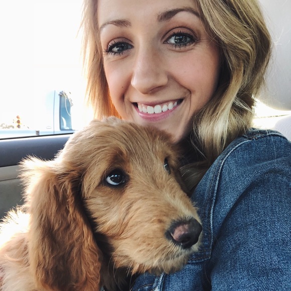 Meet your Posher, Marley - Picture 1 of 1